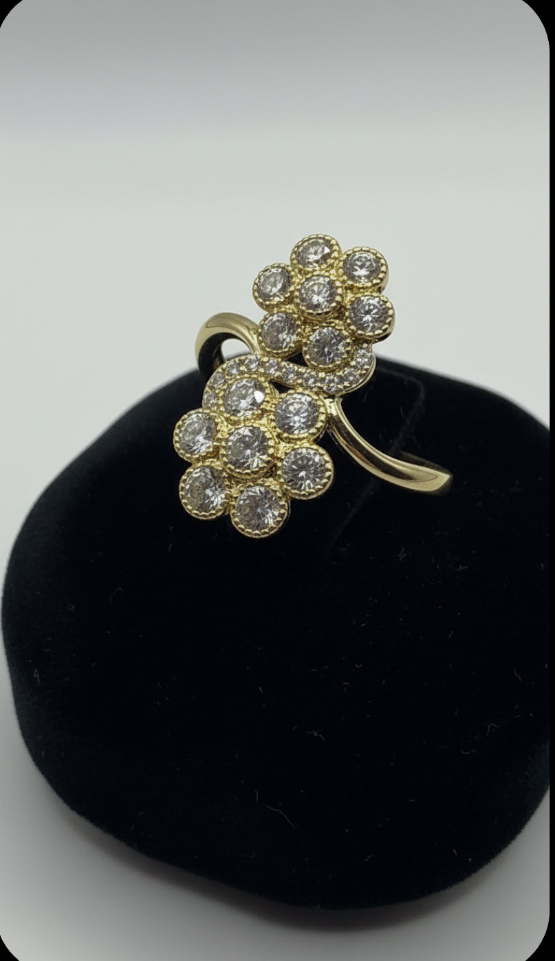 anillo